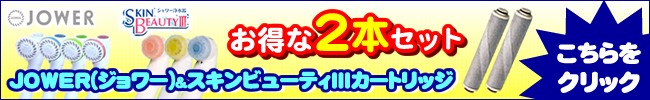 エムシーシャワー浄水カートリッジ2本セット