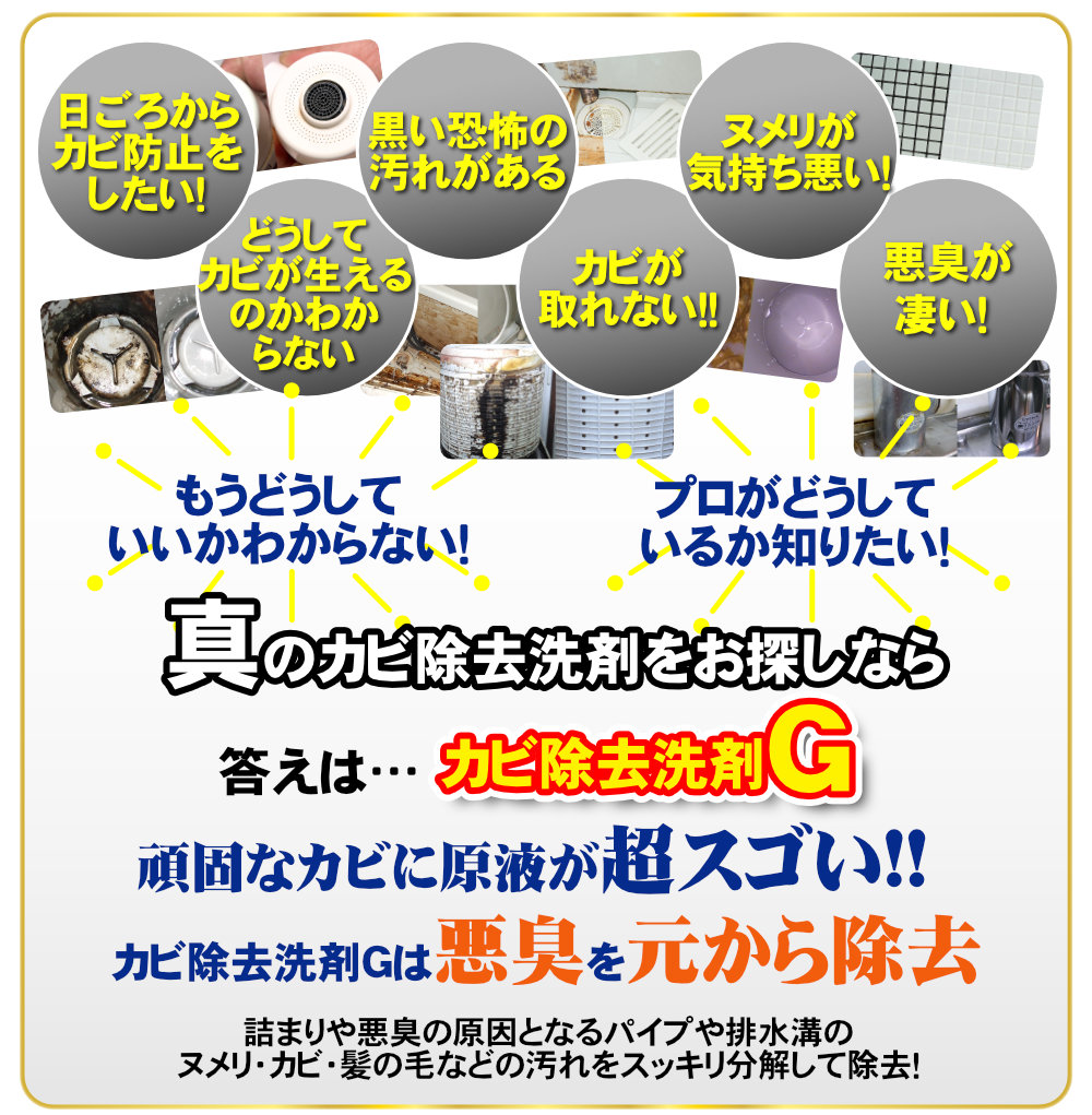 強力・カビ除去剤」 カビ除去洗剤 ジェルタイプ 2リットル カビ落とし