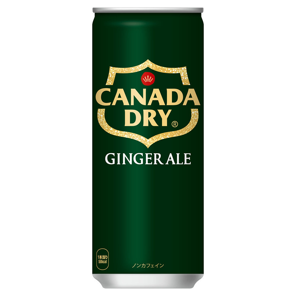GINGER ALE（ジンジャーエール） カナダドライ 250ml 缶 30本 コカ