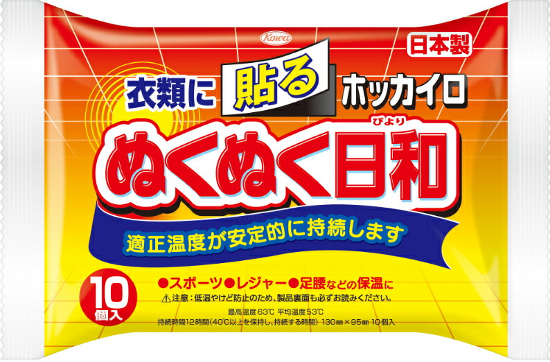 興和 ホッカイロ ぬくぬく日和 貼るレギュラー １０個入り ２個セット