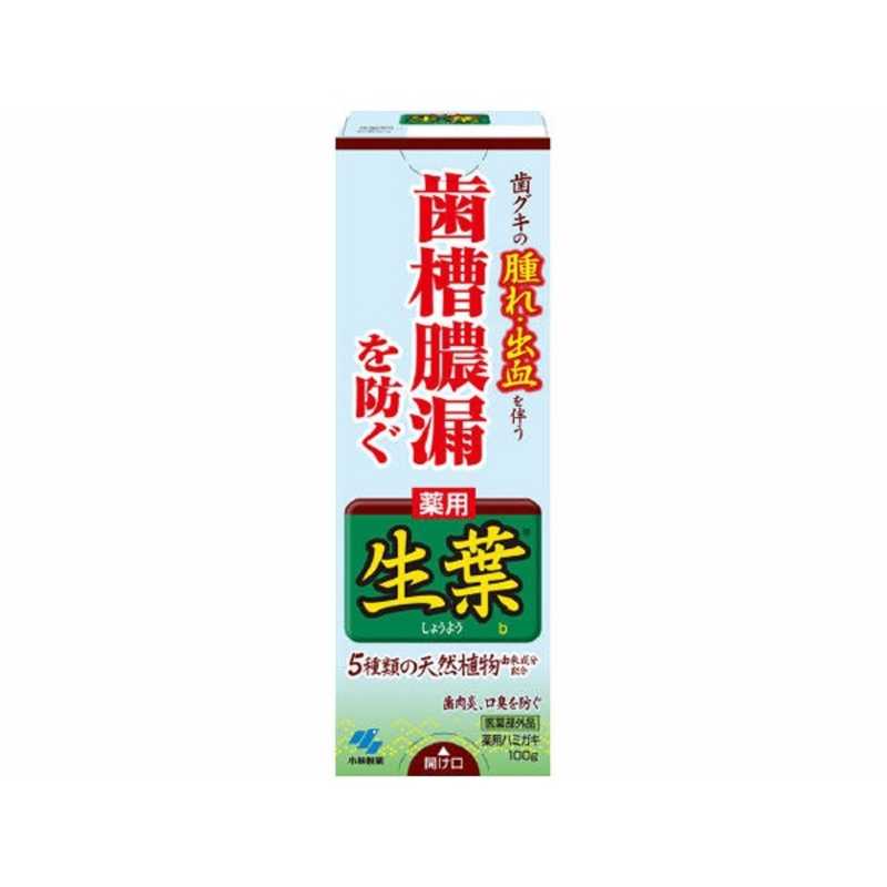小林製薬 薬用ハミガキ 生葉 100g 4個セット