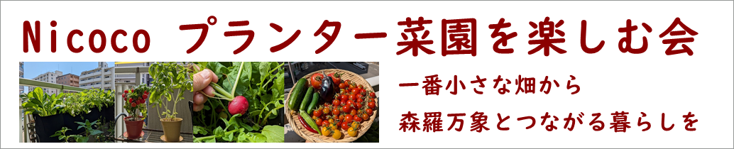 Nicoco プランター菜園を楽しむ会 ヘッダー画像