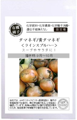 有機種子 固定種 タマネギ 黄タマネギ 1.5ｇ 種 玉ねぎ ラインスブルハー 2024年5月期限