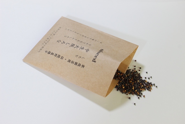 伝統野菜種子 中生大阪しろな 固定種 5ml 種 大阪市 在来種 2026年6
