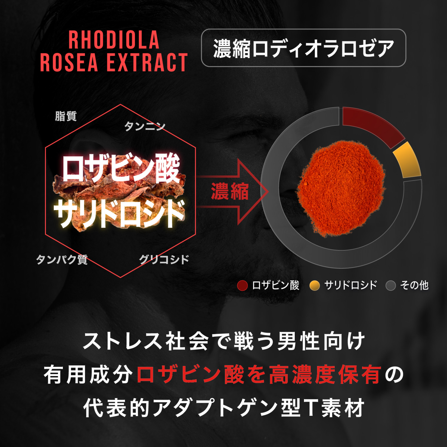 公式】テストエイドOTM ブリスケア ミートシラジート ロディオラロゼア
