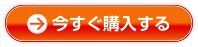 今すぐ購入する