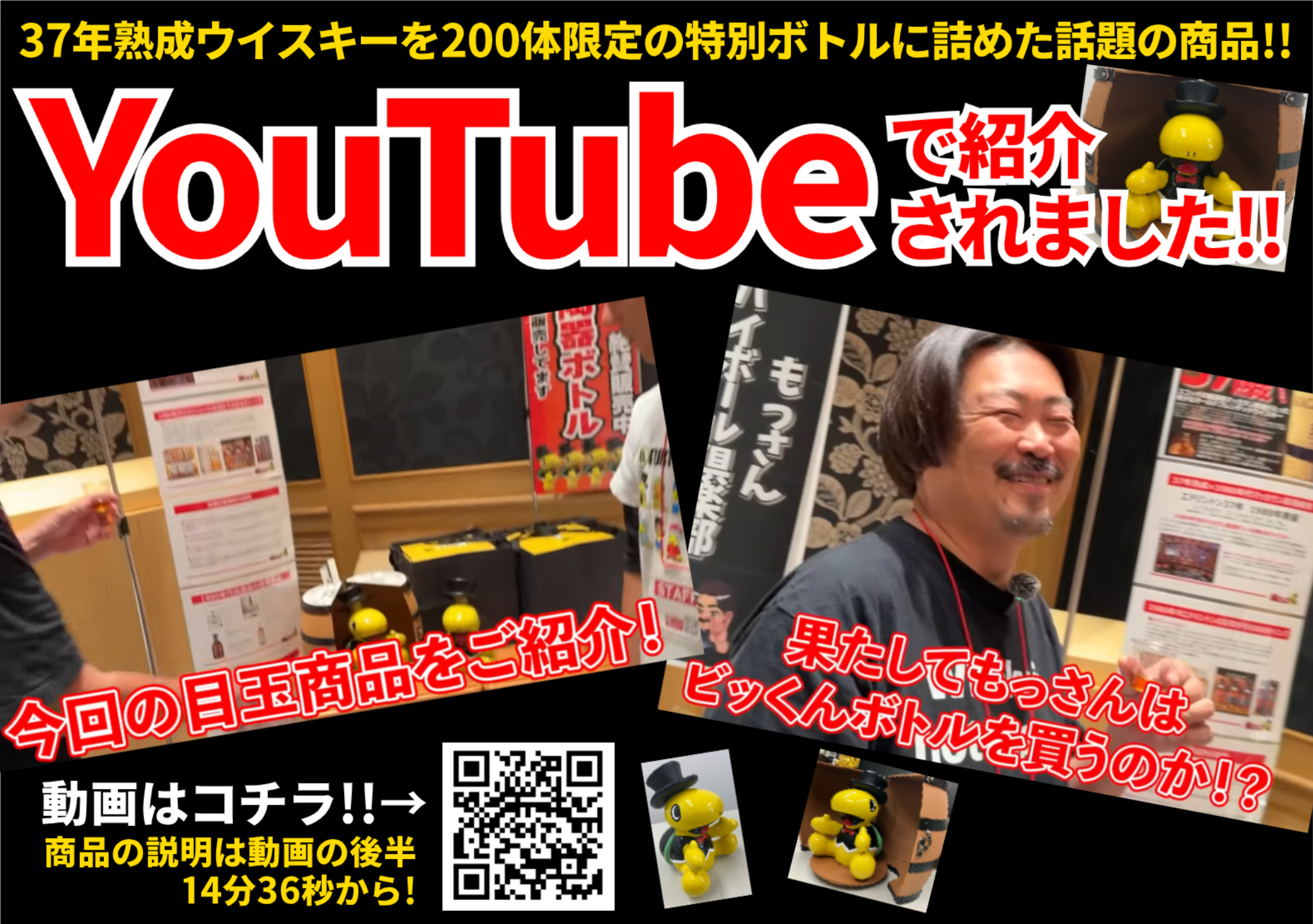 スコッチウイスキー ブレンデッドウイスキー 当店限定 タートル