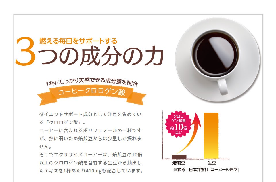 ダイエットコーヒー エクササイズコーヒー 約1ヶ月分30本入 1袋 生