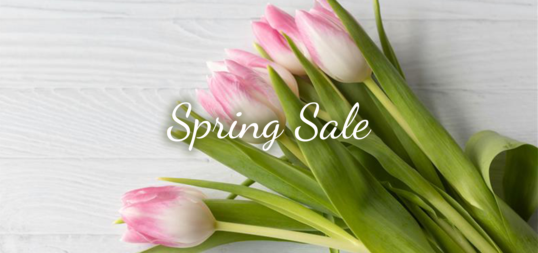 ���ץ��SALE