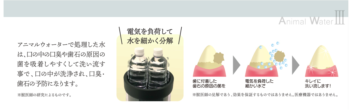 送料無料】水道水でつくるペット用飲用水生成器 アニマルウォーター3