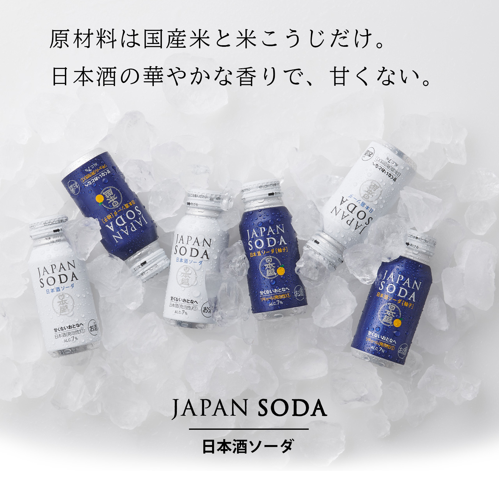 日本酒しごうびん新品10本セットにおまけ2本です Amazon.co.jp: 日本酒 飲み比べセット 全国10蔵 大吟醸 720ml×10