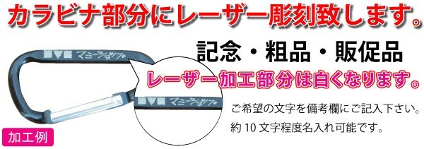 ペットボトルホルダー 同色2個セット 選べるカラー タフネス 8カラーズ アウトドア 登山 ウォーキング ハイキング カラビナ付 名入れ対応  :4901139206065:ニホンセン - 通販 - Yahoo!ショッピング