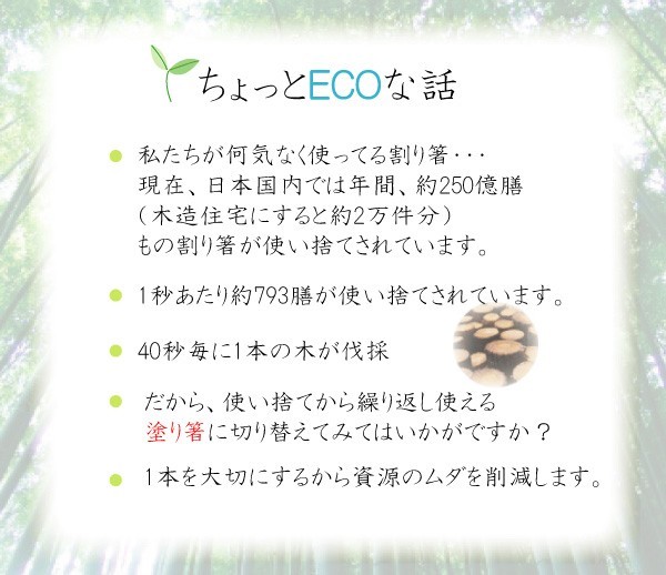 エコ箸 六角 すべらない箸 プラスチック 業務用箸 20膳セット 食洗機