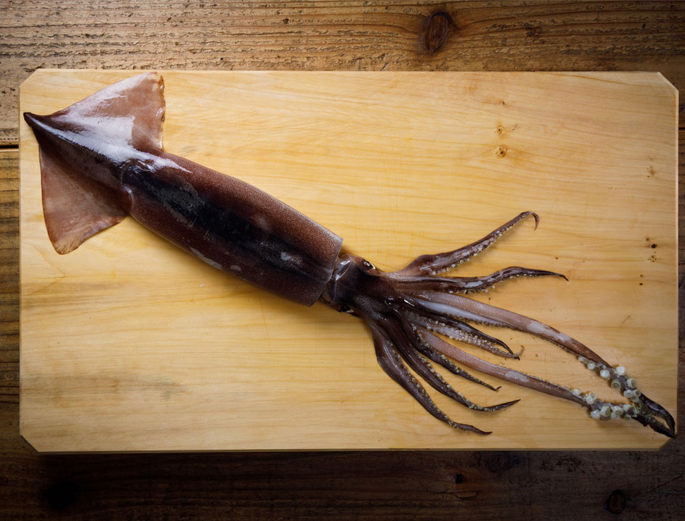 国産いか 胴 ミミ ゲソを使用