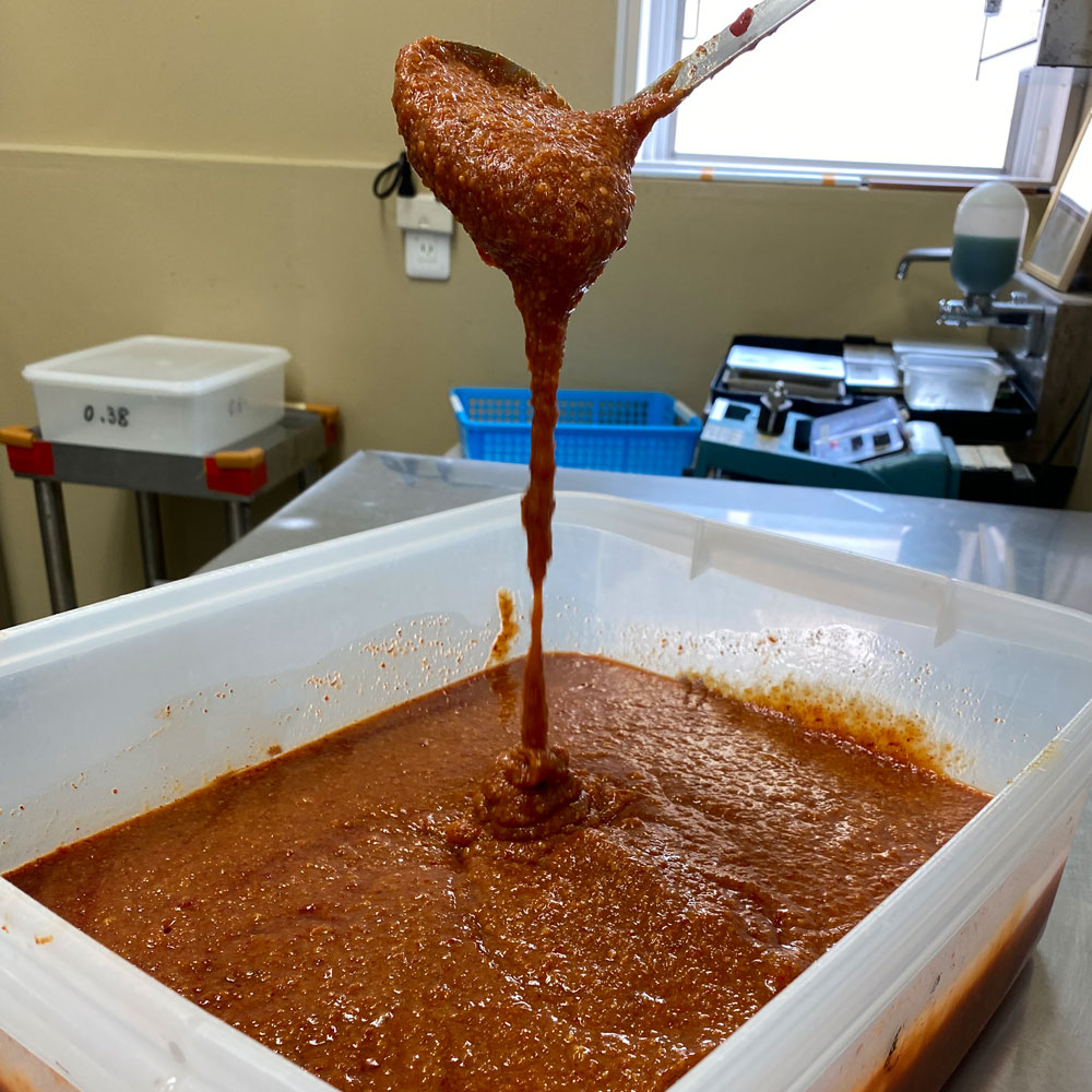 越後味噌 コチュジャン 一味 ピリ辛仕立て