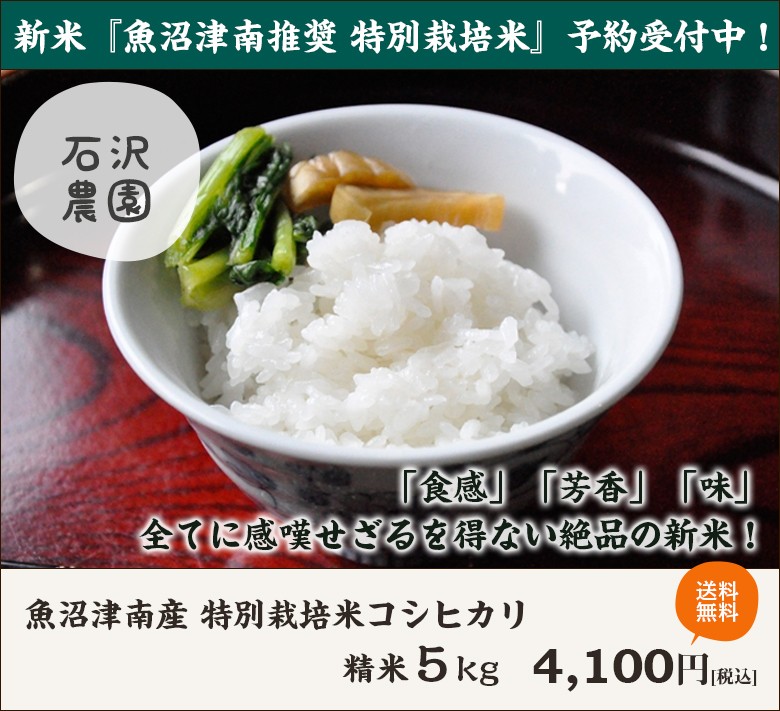 新米・令和4年産魚沼産コシヒカリ　白米5kg×2個★津南町産コシヒカリ03 白米・玄米】 桑原健太郎さんの新潟県魚沼津南産コシヒカリ(特別