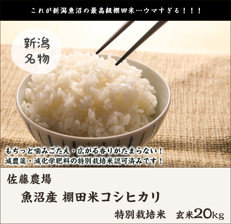 コシヒカリ 令和6年度産米 特別栽培米（減農薬・減化学肥料