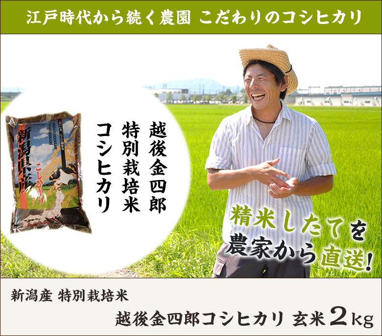 毎日がバーゲンセール 米 新潟産 こしひかり 玄米 2kg 堆肥 育成 甘い もちもち ツヤツヤ 減農薬 農家 直送 生産者 コシヒカリ 新潟県産  ギフト 内祝 highart.com.eg