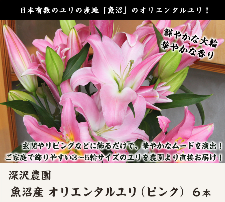 123円 最大76％オフ！ ハイブリッドユリ HBユリ 白 切花 生花 切り花 1本 造花ではありません