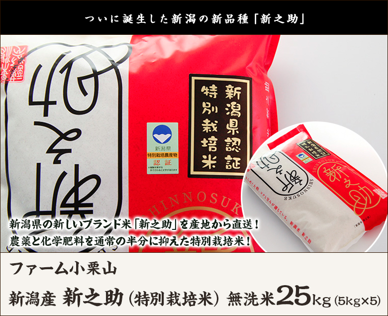 毎日がバーゲンセール 特別栽培米 減農薬 減化学肥料 新潟産 新之助 無洗米25kg 5kg×5 ファーム小栗山 送料無料