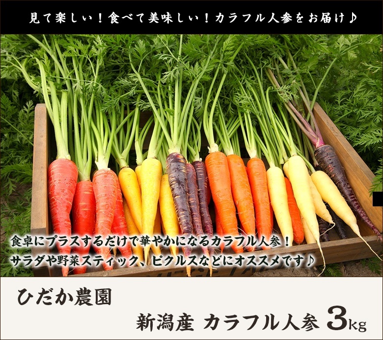 花菜　人参　お弁当　雪下にんじん　カラフル人参　サラダ　離乳食 花菜様専用 人参 お弁当 雪下にんじん カラフル人参 サラダ 離乳食