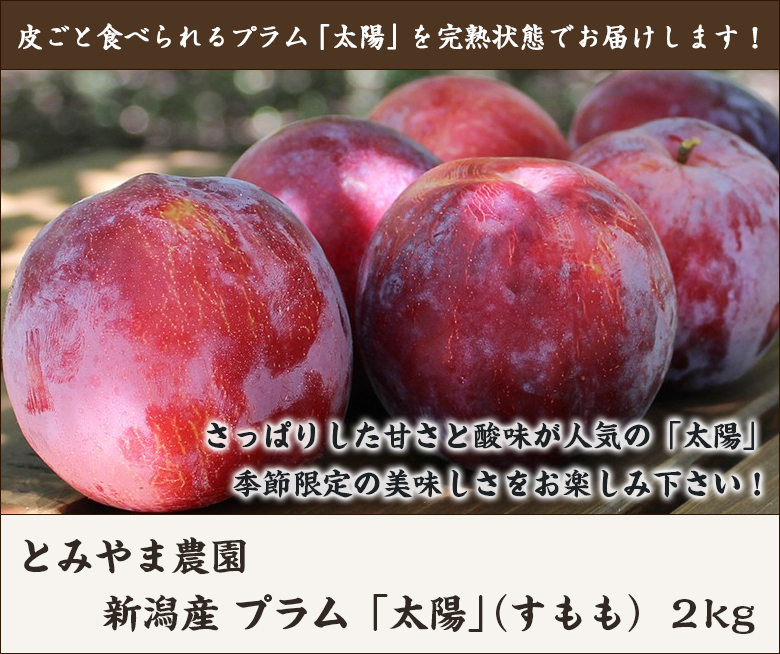 新潟産 プラム すもも 太陽 2kg 約9 12玉 とみやま農園 送料無料 0151 001 01 新潟直送計画 通販 Yahoo ショッピング