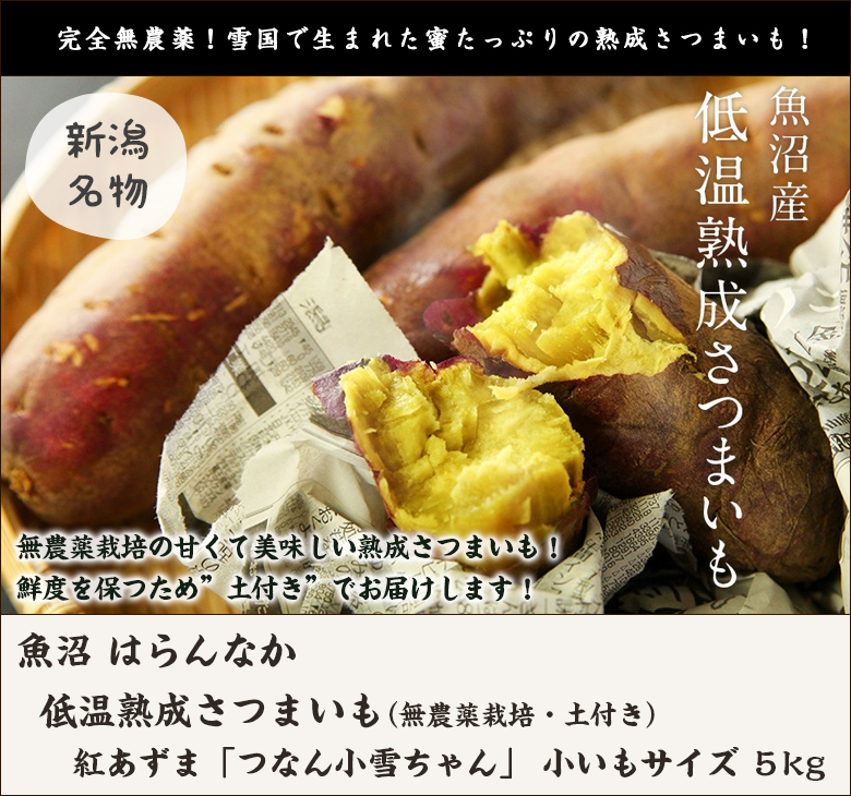 無農薬栽培の甘くて美味しい熟成さつまいも！紅あずま つなん