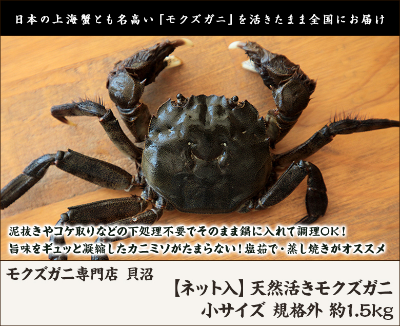 ネット入】天然活きモクズガニ 小サイズ 規格外 約1.5kg（70g〜100g以下のサイズ 15〜22匹入り）/モクズガニ専門店 貝沼/送料無料  :0250-001-03:新潟直送計画 - 通販 - Yahoo!ショッピング