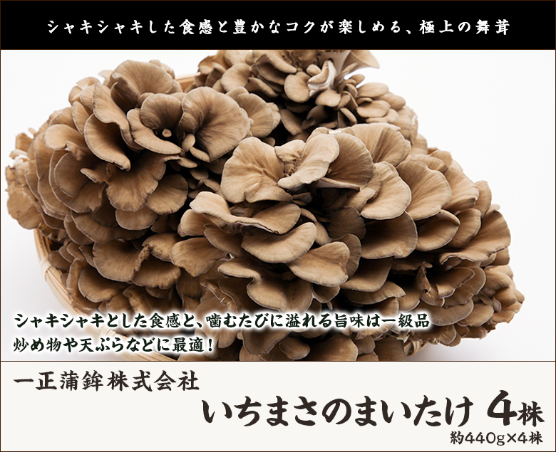 お得な特別割引価格） 青森県産 天然 舞茸 3.5kg - 食品