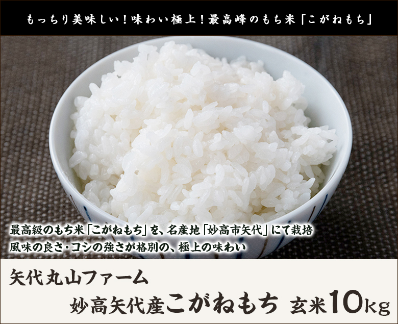 令和4年度米 妙高矢代産こがねもち 玄米10kg（10kg×1袋） /矢代丸山ファーム/送料無料 :0327-002-05:新潟直送計画 - 通販 -  Yahoo!ショッピング