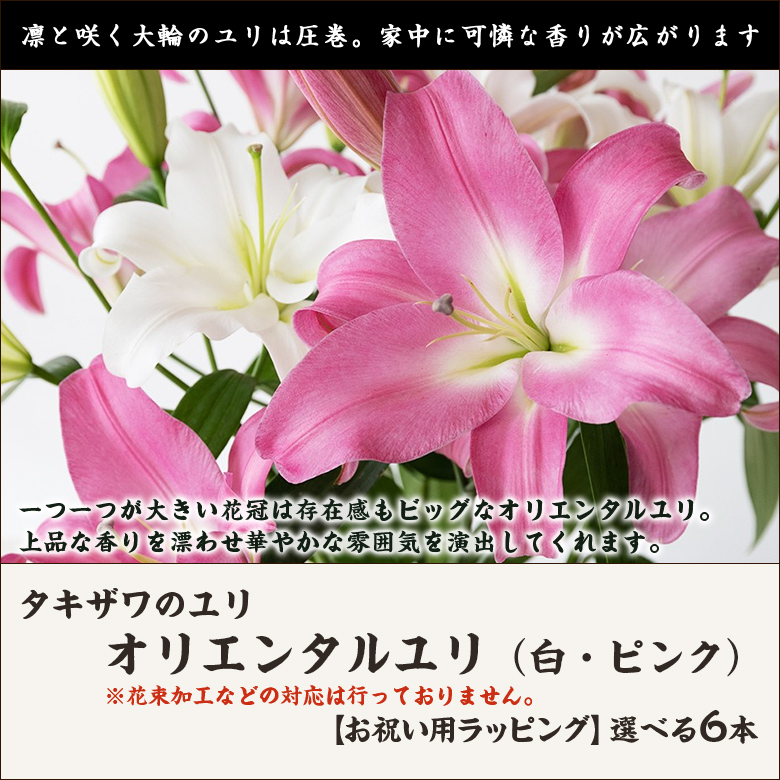 定番のお歳暮＆冬ギフト オリエンタルユリ 白 ピンク 選べる6本 タキザワのユリ 贈り物に ご自宅用に 後払い決済不可 送料無料  highart.com.eg