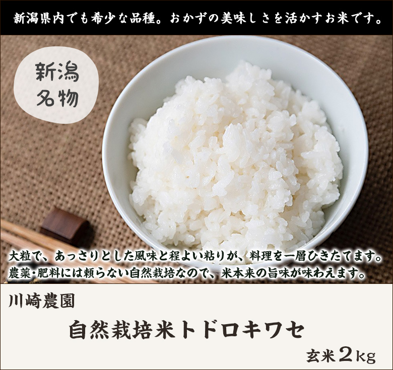 トドロキワセ 令和6年度産米 自然栽培米（無農薬・無化学肥料