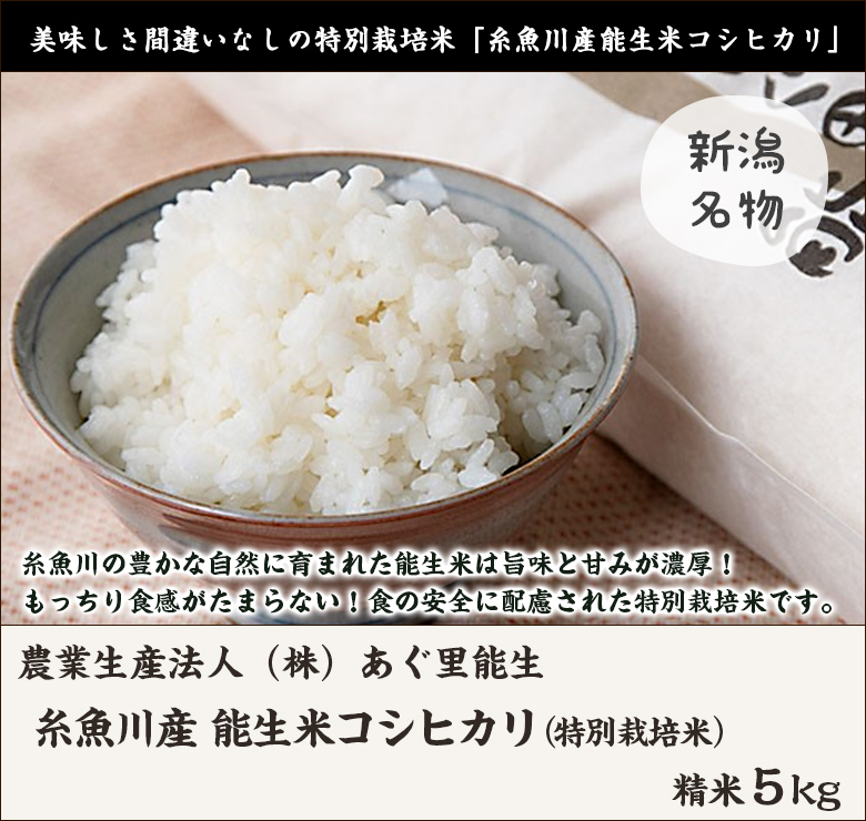 米 お米 20kg 5kg×4  新潟 コシヒカリ 令和4年 白米 精米 農家直送  糸魚川 能生米 送料無料