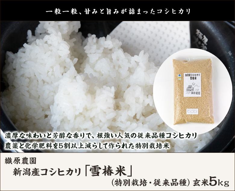 肌触りがいい 新米•令和4年産新潟コシヒカリ小分け3袋 農家直送 玄米25