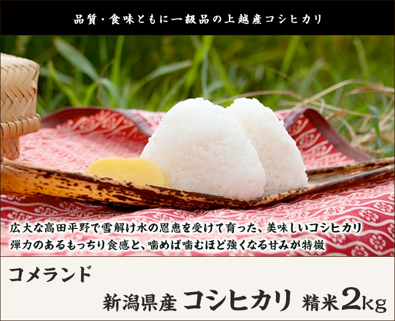 コシヒカリ 【令和5年度米】新潟県産コシヒカリ 精米10kg