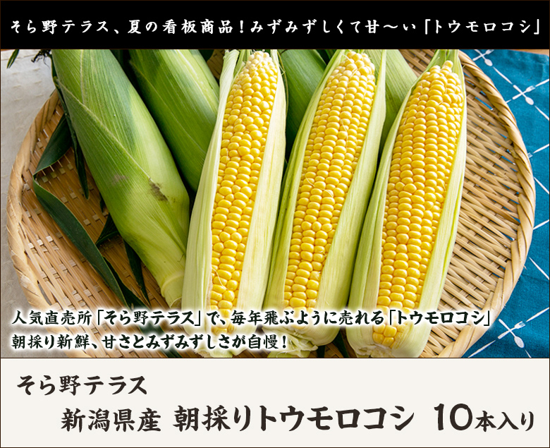 新潟県産 朝採りトウモロコシ 10本入/そら野テラス/代金引換決済不可