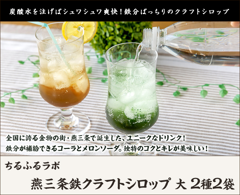 燕三条鉄クラフトシロップ 大 2種2袋（鉄コーラ、鉄メロンソーダ 各1袋