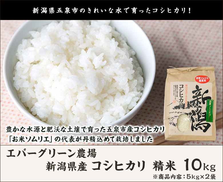 新潟県産　コシヒカリ 新米 【白米】 10kg 精米したて 楽天市場】令和6年度産米 新潟 コシヒカリ 精米10kg（5kg×2袋
