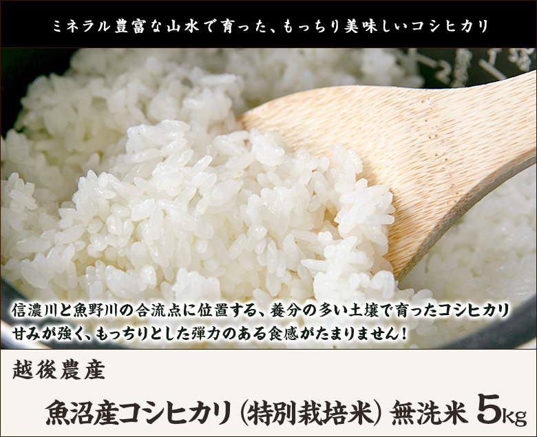 コシヒカリ 令和6年度産米 魚沼産コシヒカリ（特別栽培米）無