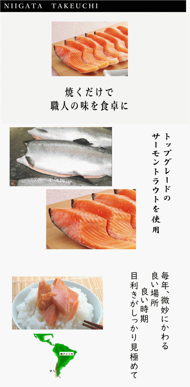 本造ります中塩8切 ki-407トラウトサーモンを新潟で干し上げた伝統製法 鮭 お中元 冷凍食品 冷凍 魚 冷凍保存 高級 鮭 高級サーモン :ki -183:本造り鮭の新潟たけうち - 通販 - Yahoo!ショッピング