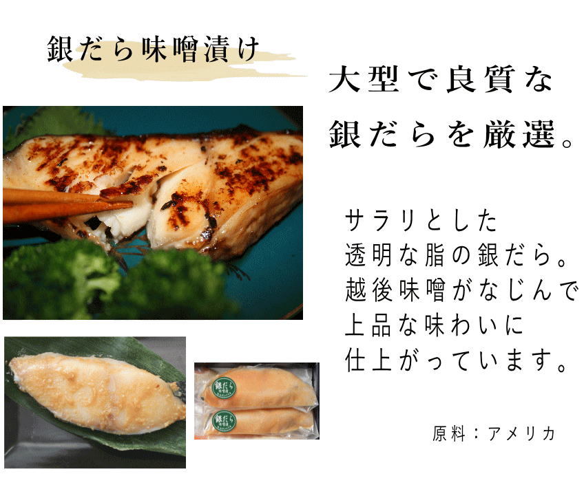銀だら
