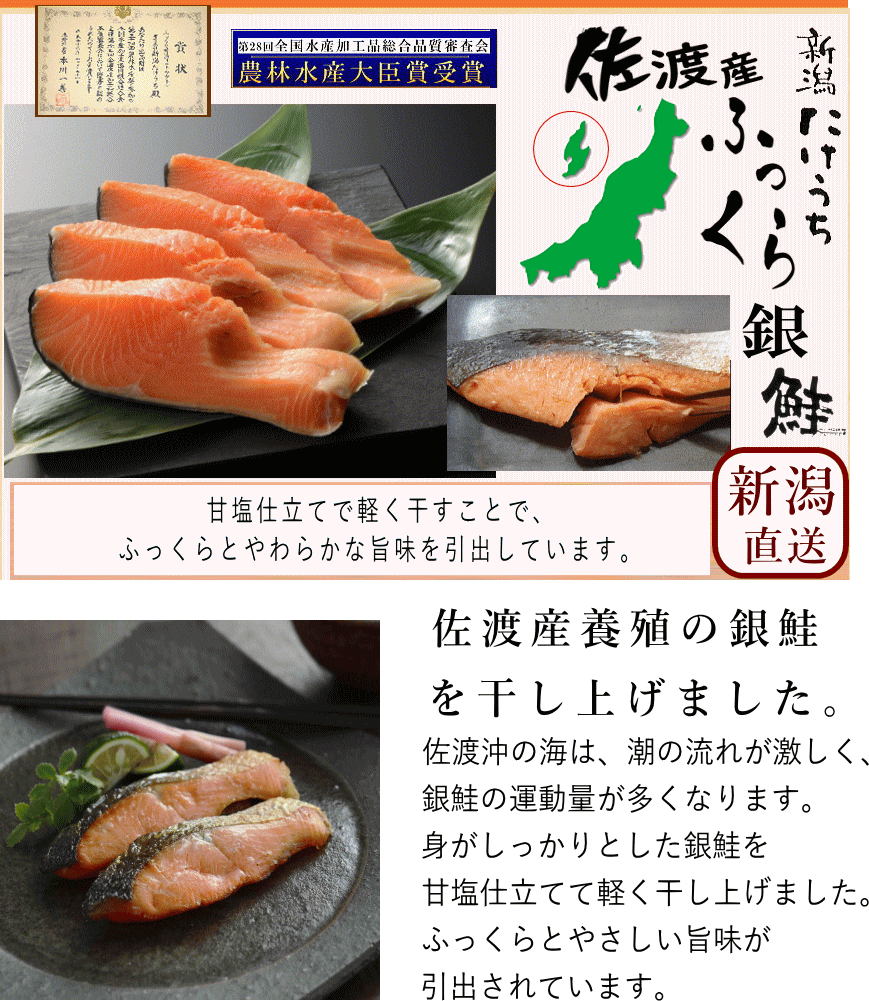 佐渡産ふっくら銀鮭 甘塩(5切) きー421 :ki-187:本造り鮭の新潟たけうち - 通販 - Yahoo!ショッピング