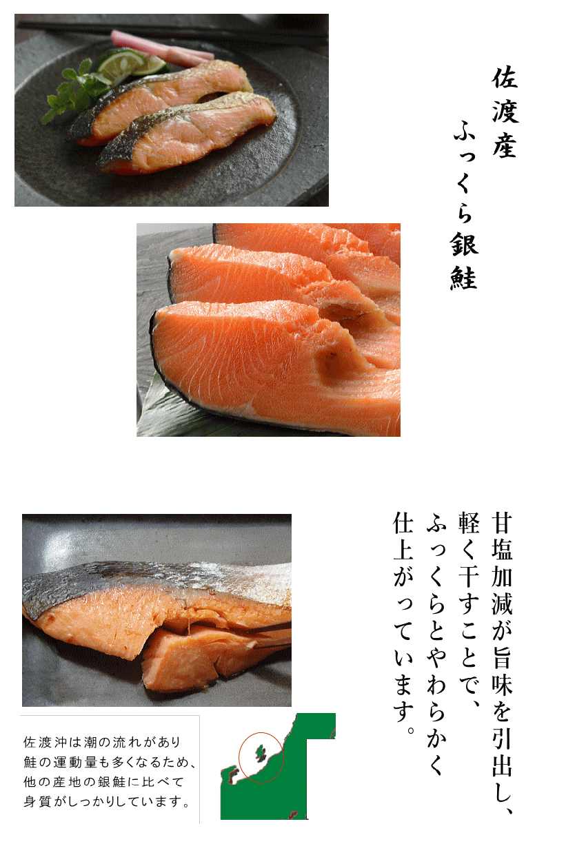 佐渡産ふっくら銀鮭 甘塩(5切) きー421 :ki-187:本造り鮭の新潟たけうち - 通販 - Yahoo!ショッピング