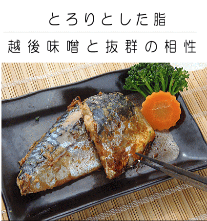 人気のさば味噌漬け