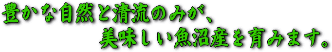 魚沼の自然
