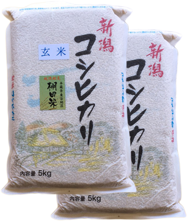 玄米10kg【送料無料】