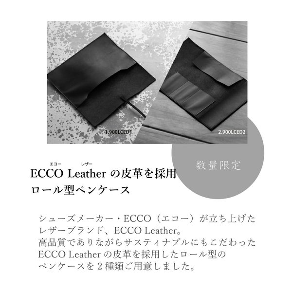 ステッドラー（STAEDTLER） 【限定商品】 レザーペンケース リミテッド