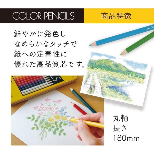 トンボ鉛筆 【名入れ無料】トンボ鉛筆 缶入色鉛筆 36色 NQ 文具