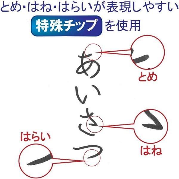 サクラクレパス かきかたフェルトペン 2本組 細字 中字 FK-2SM 文房具 文具 筆記具 水性ペン 水性マーカー サインペン 黒 硬筆書写 小学生｜nijiirobungu｜03