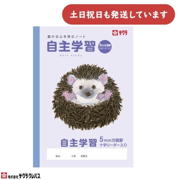 TNNpX LȐSރm[g 񂷂 B5 7}X \[_[ [  m[g w TNwK Z